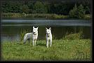 106 Nettetal * 3872 x 2592 * (2.06MB)